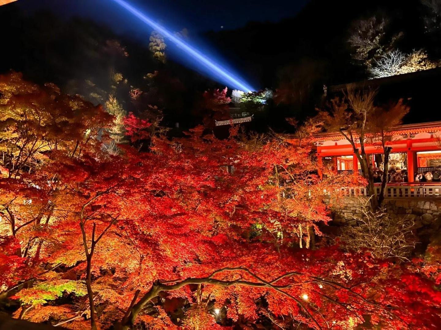 京都 铃祗园白川旅馆酒店 外观 照片